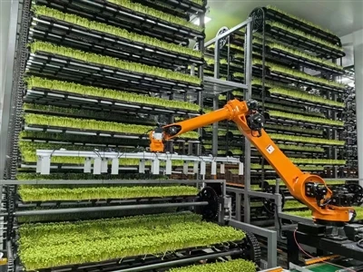 Automaatiokoneet ja käsittelyrobotit johtavat uuden maatalouden vallankumouks...